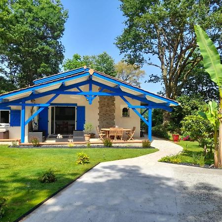 La Clairiere Du Seignanx Bed & Breakfast Saint-Martin-de-Seignanx Exterior foto