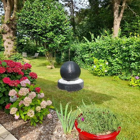 La Clairiere Du Seignanx Bed & Breakfast Saint-Martin-de-Seignanx Exterior foto