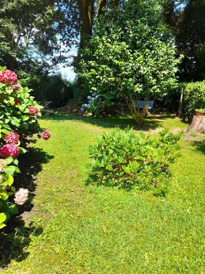 La Clairiere Du Seignanx Bed & Breakfast Saint-Martin-de-Seignanx Exterior foto