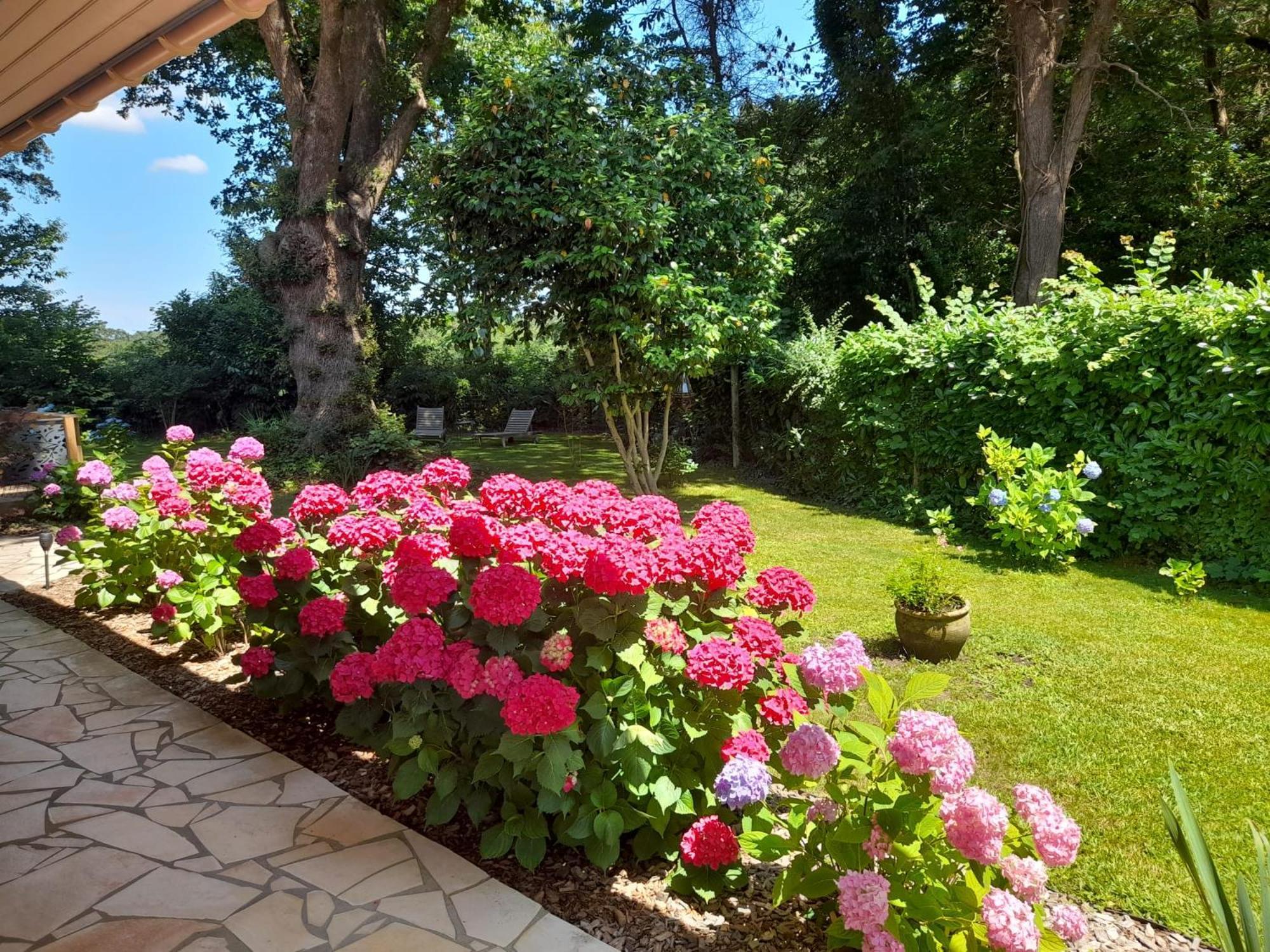 La Clairiere Du Seignanx Bed & Breakfast Saint-Martin-de-Seignanx Exterior foto